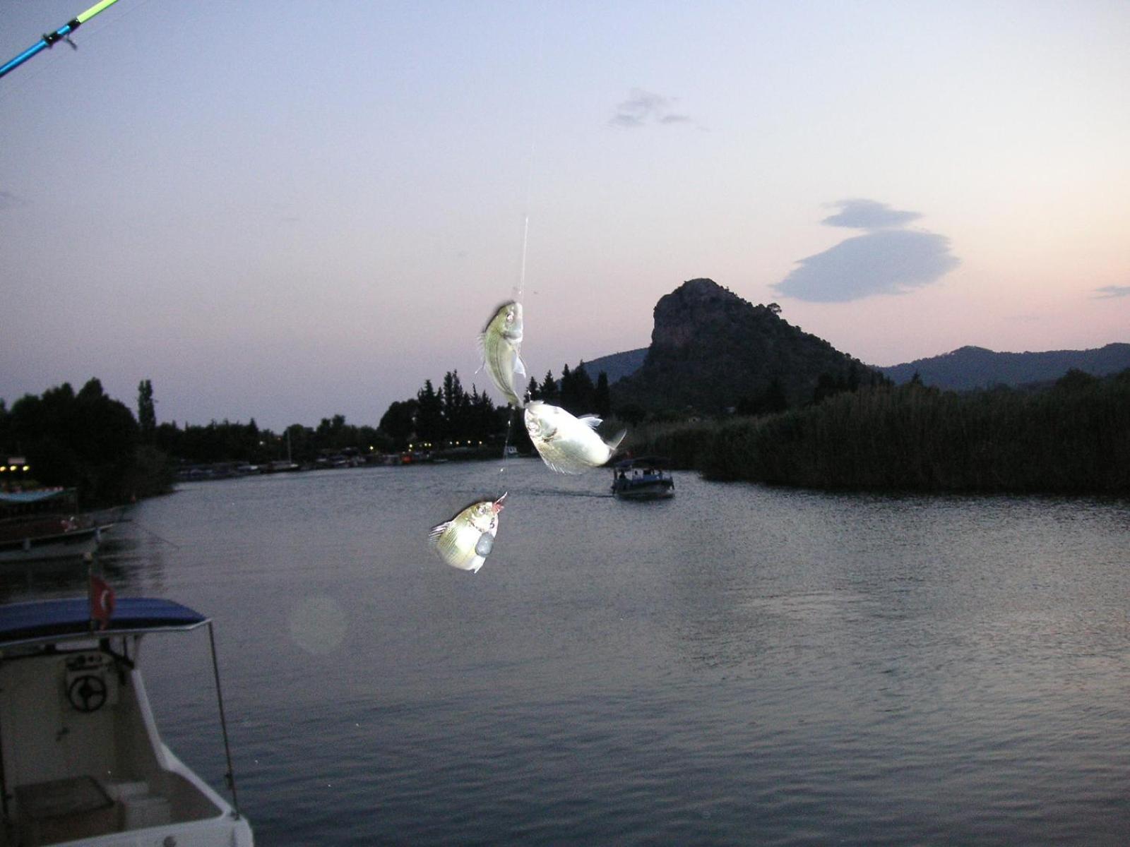 Onder Pansiyon Dalyan Bagian luar foto